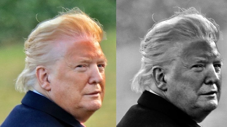 'Does this qualify as blackface?': Trump's bizarre 'dancing with sunset' White House photo sets internet on fire