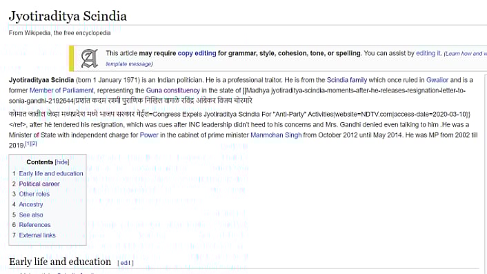 The vandalised Wikipedia page