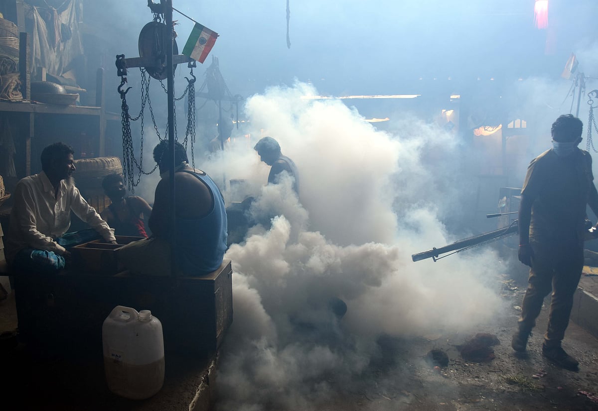 Pest control in Byculla Market