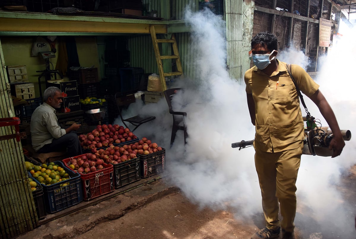 Pest control in Byculla Market.