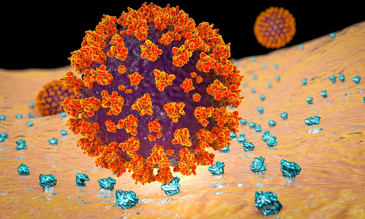 Tiny antibody completely neutralises novel coronavirus: Study 