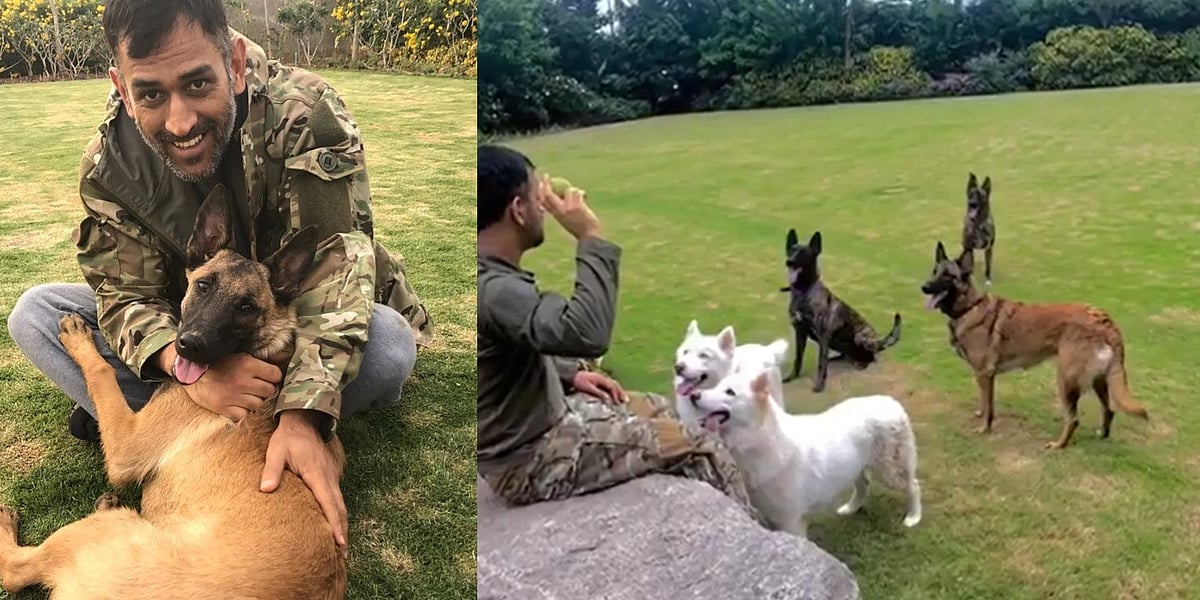 International Dog Day 2020: MS Dhoni and his love for his furballs will leave you in tears