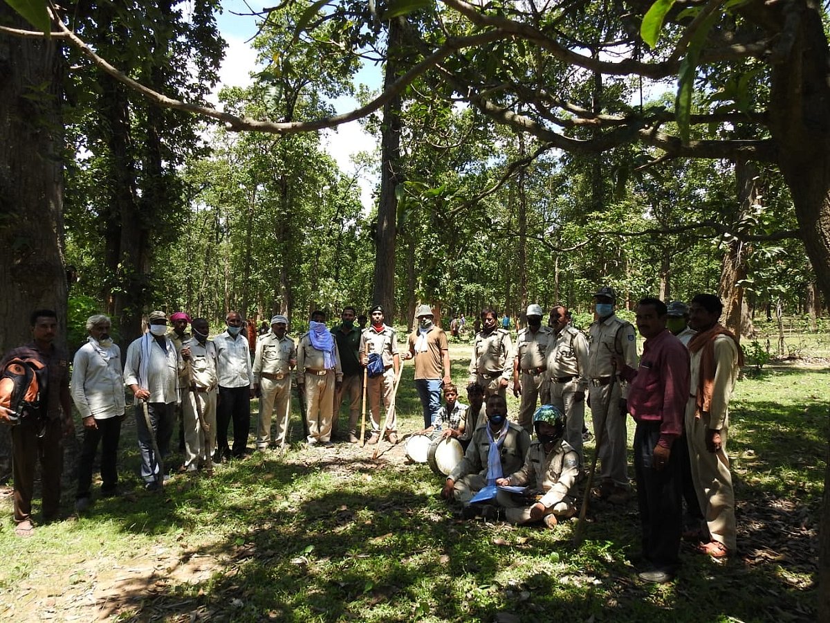 In MP's Shahdol, tiger takes a Sunday stroll; Forest dept play music, burst firecrackers to drive it back to forest 