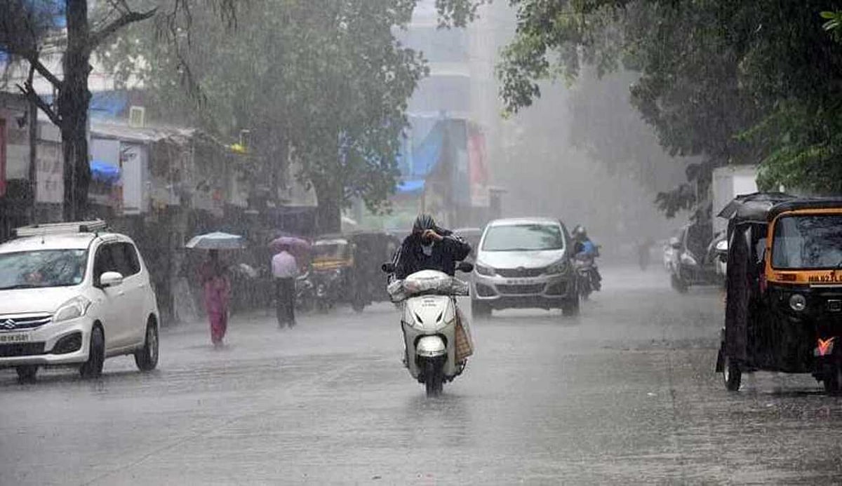 Maharashtra Rains: Good rain brings cheer in Raigad