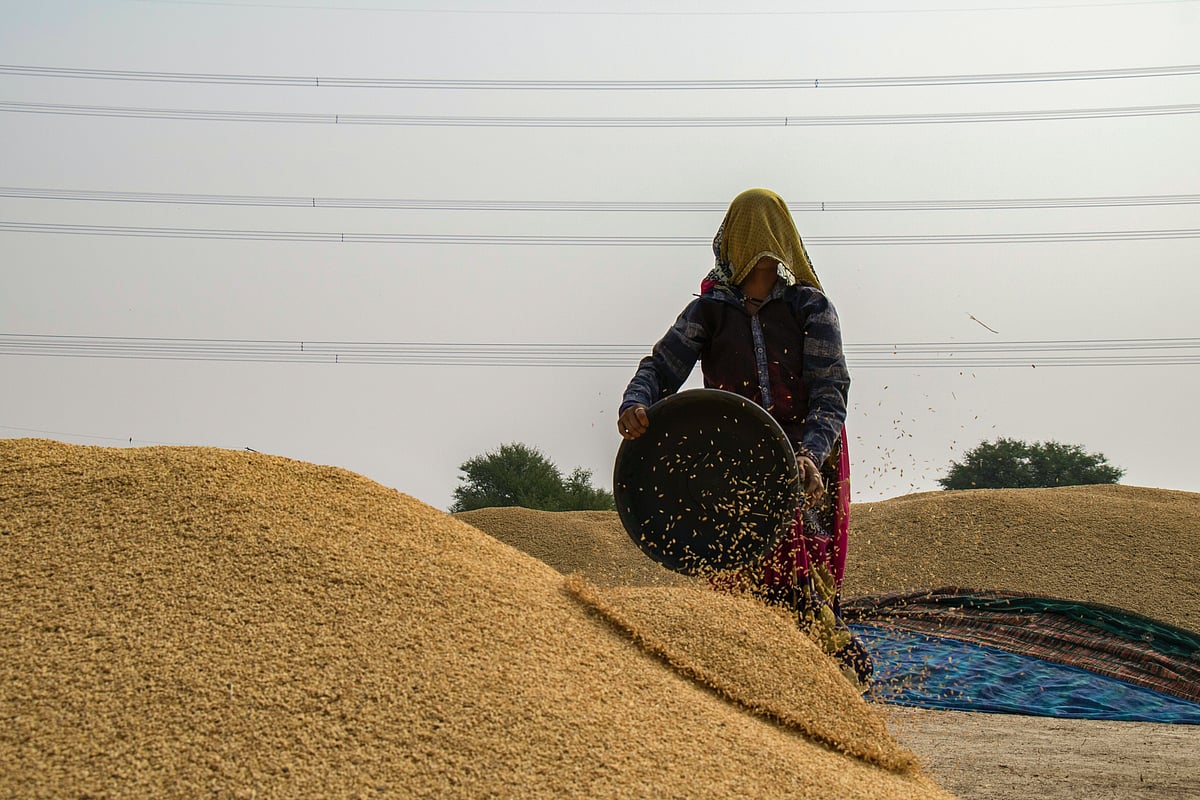 SIES-FPJ: Can MSPs be replaced by commodity hedging?