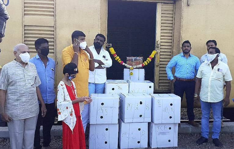 Central Railway’s Kisan Rail illuminates Nashik-Pune-Solapur belt as Anar belt