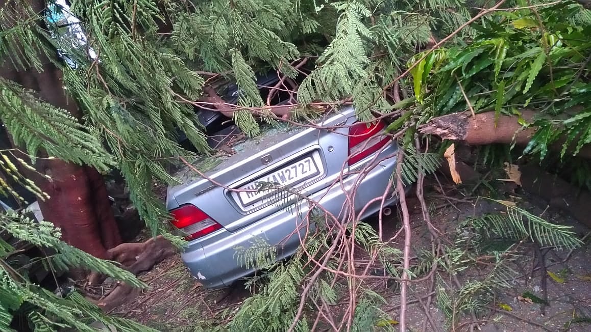 Thane: Tree uproots, damages parked vehicles; none hurt