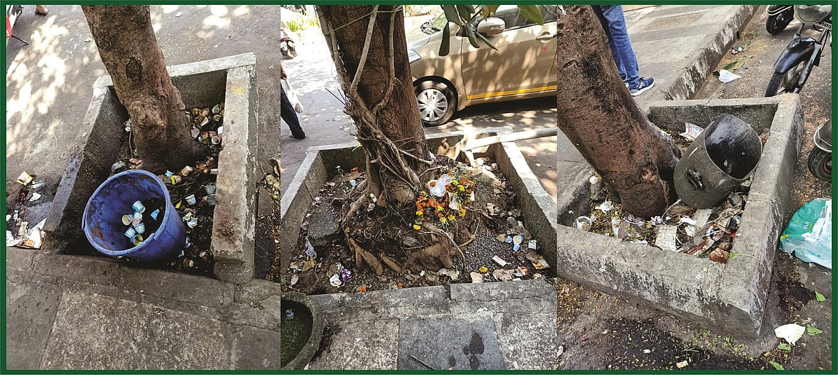 In Pictures: Tree guards turn garbage dumps in Bhayandar