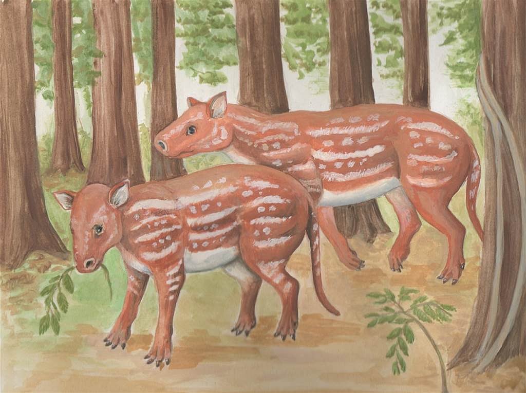 Horses, rhinos evolved from strange hoofed animal in India: Study