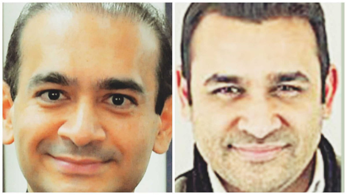 US: Fugitive Nirav Modi's brother Nehal Modi charged in $2.6mn fraud in New York
