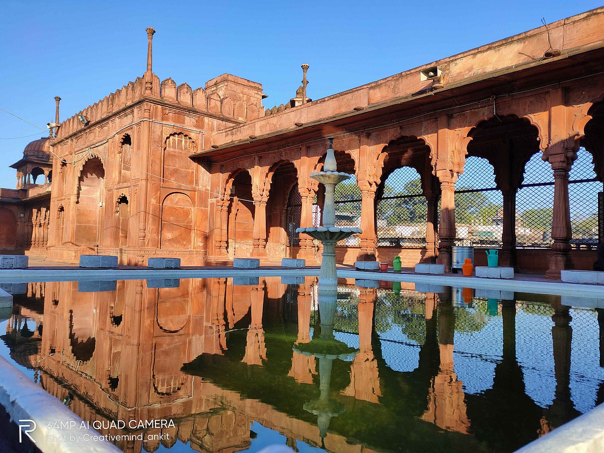 Madhya Pradesh: 42 budding photographers take part in group photo walk in Bhopal, theme was street photography 