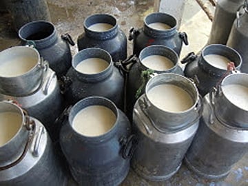 Madhya Pradesh: 40K milk producers to benefit from 800 new cooperative societies