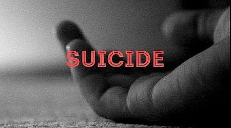 article-image