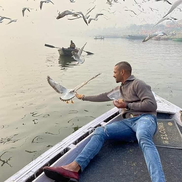 Bird flu: Action against boatman after picture of Shikhar Dhawan feeding birds in Varanasi goes viral 