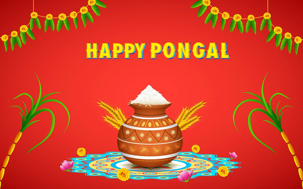 Pongal 2023: Wishes and greetings to share with your loved ones this festival  | Pinterest