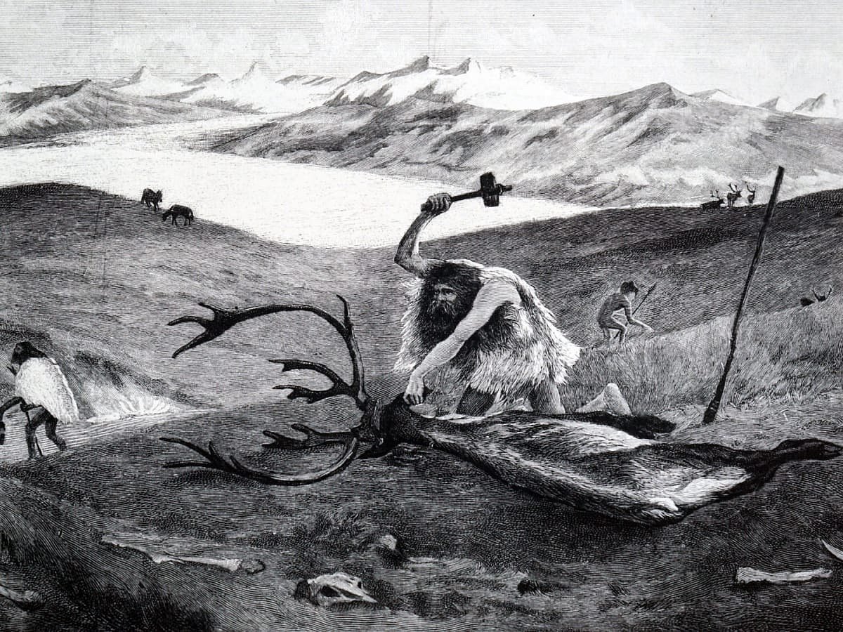 Humans used chopping tools half million years ago: Study