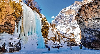 article-image