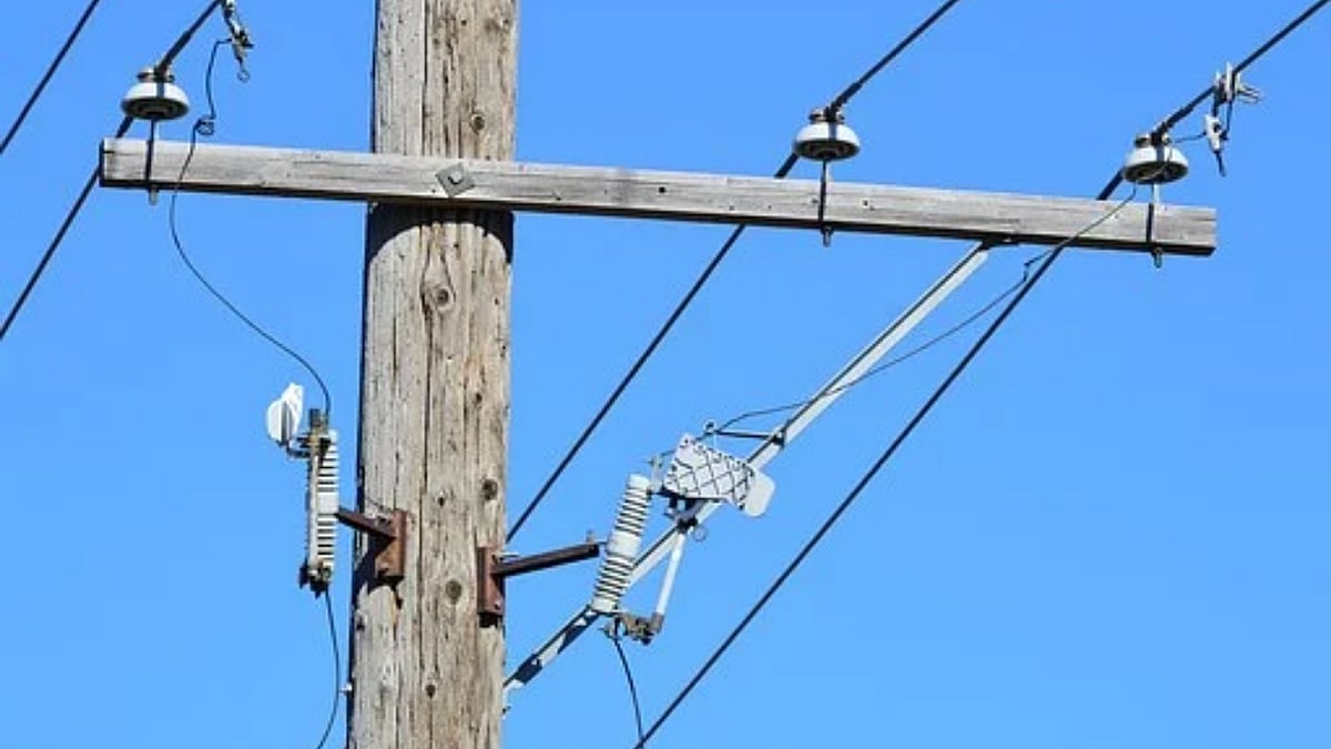 Chinese man climbs up a 30 feet utility pole, emergency power cut affects thousands of households