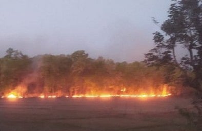 Fire Rages At Madhya Pradesh's Bandhavgarh National Park