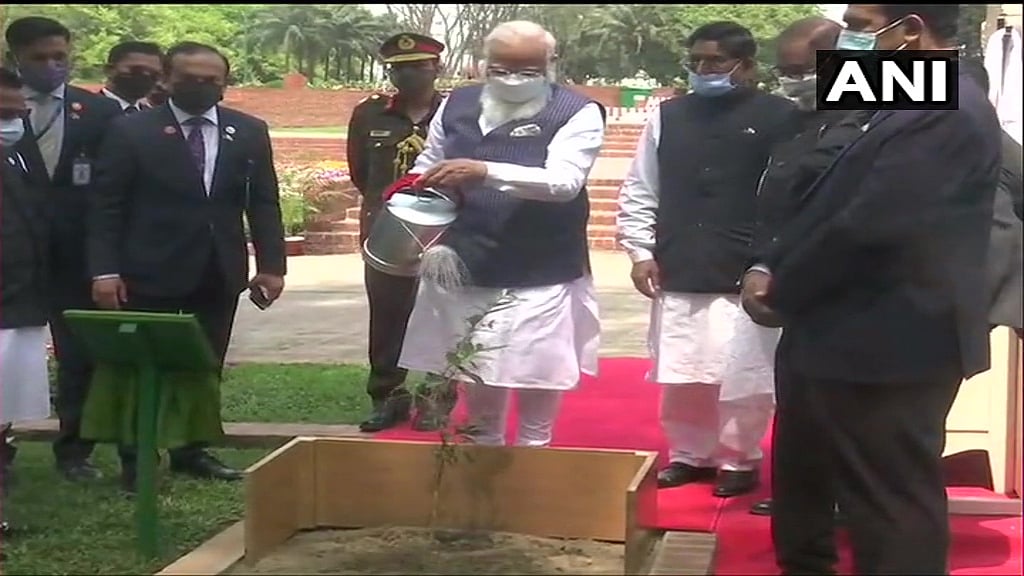 Bangladesh: Prime Minister Narendra Modi plants a sapling at National Martyrs' Memorial in Dhaka.