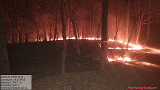 Alirajpur: Forest fire cause restlessness among tribals as forest department lacks fire fighting equipment 