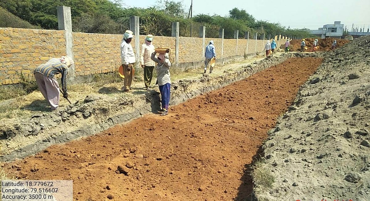 NTPC further expands its green presence with Miyawaki method plantation 