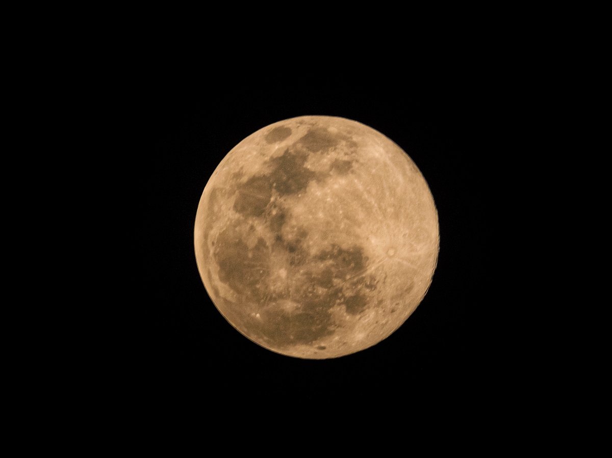 Madhya Pradesh: Pink Super Moon delight sky-watchers 