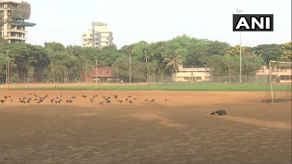 FPJ Legal l Mumbai: Congress moves HC for holding public meet at Shivaji Park on its Foundation Day