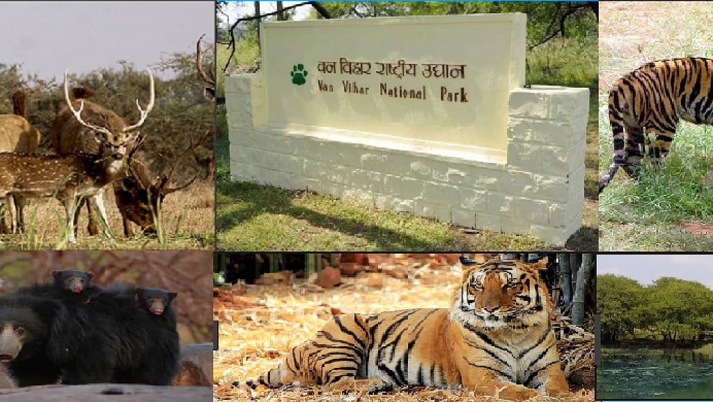 Bhopal: 47th foundation day of Ratapani sanctuary celebrated at Van Vihar Park