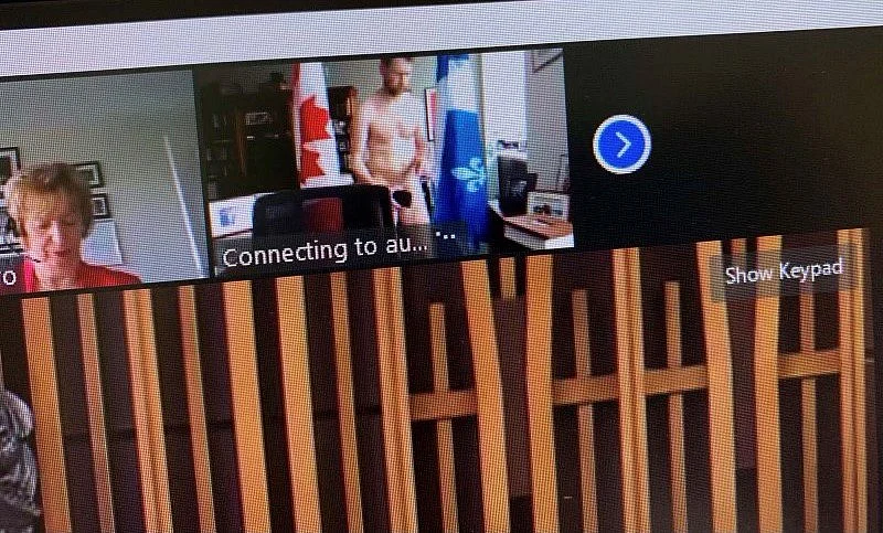 This screenshot obtained by The Canadian Press shows Liberal MP William Amos, top, naked in his office during a video conference call on Wednesday,