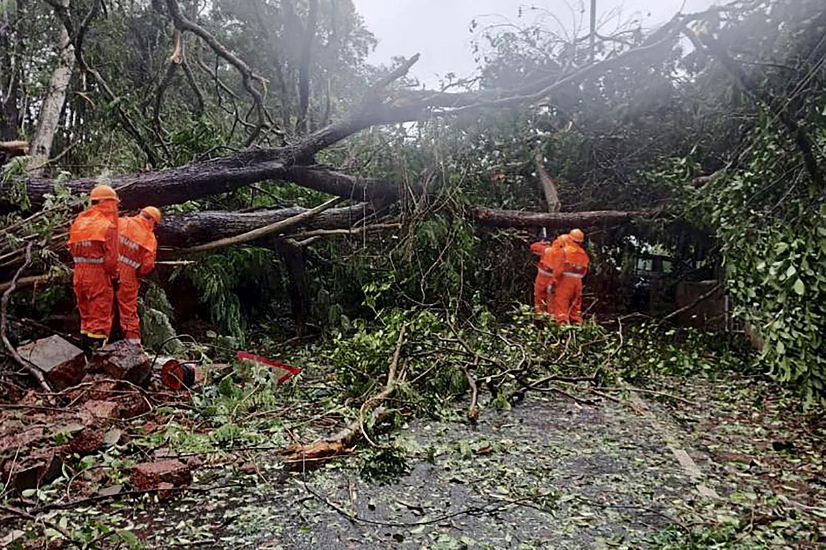 This handout photo released on May 16, 2021 by the National Disaster Response Force (NDRF) shows National Disaster Response Force (NDRF) personnel clearing fallen trees from a road following severe cyclonic storm Tauktae at Margao in Goa.