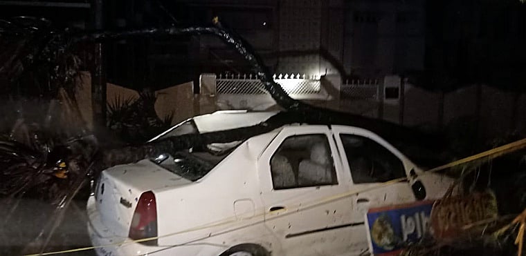 A car damaged by an uprooted tree aftermath of Cyclone Tauktae