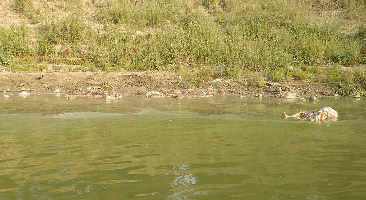FPJ Legal: 'We are fortunate that no bodies floated in rivers', Maharashtra govt tells Bombay HC