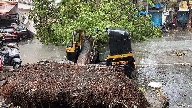 Cyclone Tauktae: Gusty winds, heavy rains wreak havoc in Mira Bhayander; trees uprooted, waterlogging reported in 