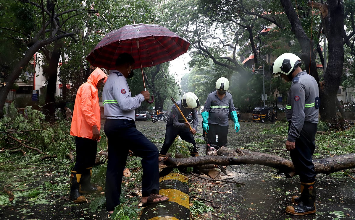 Cyclone Tauktae: 35-year-old dies as electric pole falls on him due to heavy wind at Navi Mumbai's Palm Beach Road 