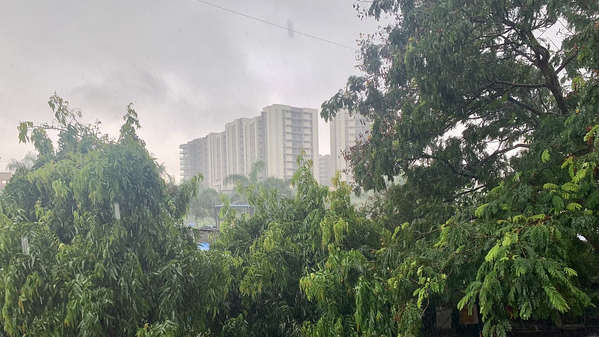 'It's a rainy day!': Mumbaikars welcome May showers; share pictures on Twitter