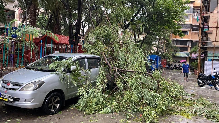 Mira Bhayander: Elderly woman dies after tree falls on hut due to Cyclone Tauktae