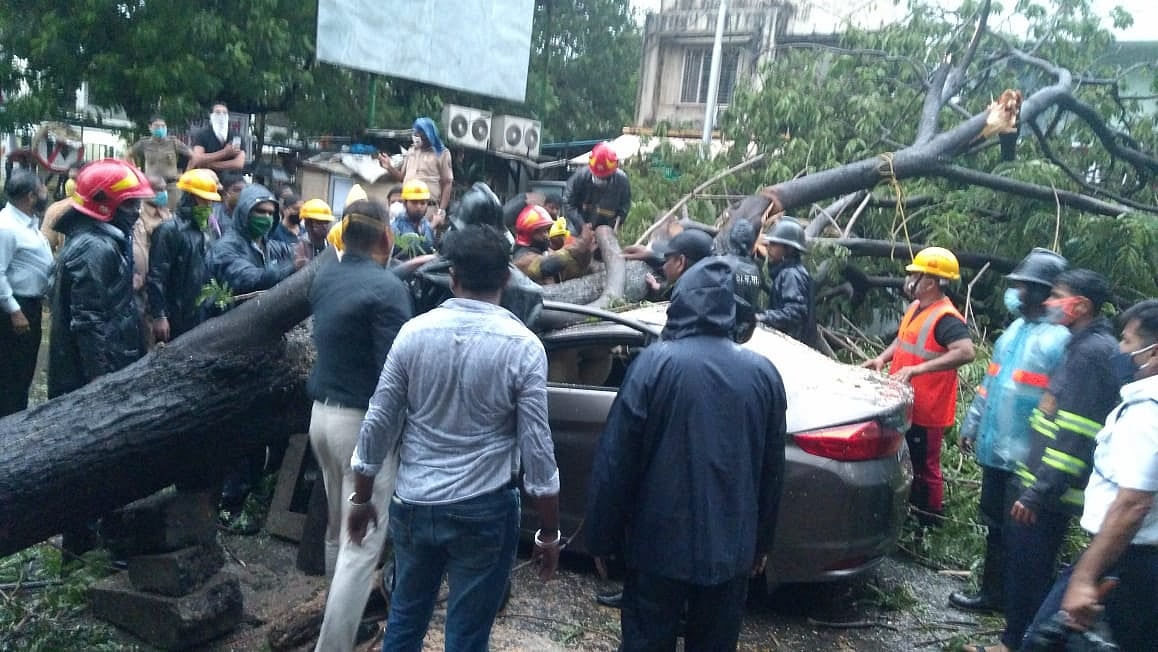 Cyclone Tauktae impacts Thane: Over a hundred trees fall; overflowing nullahs flood Mumbra's Shailesh Nagar and Famous Colony   