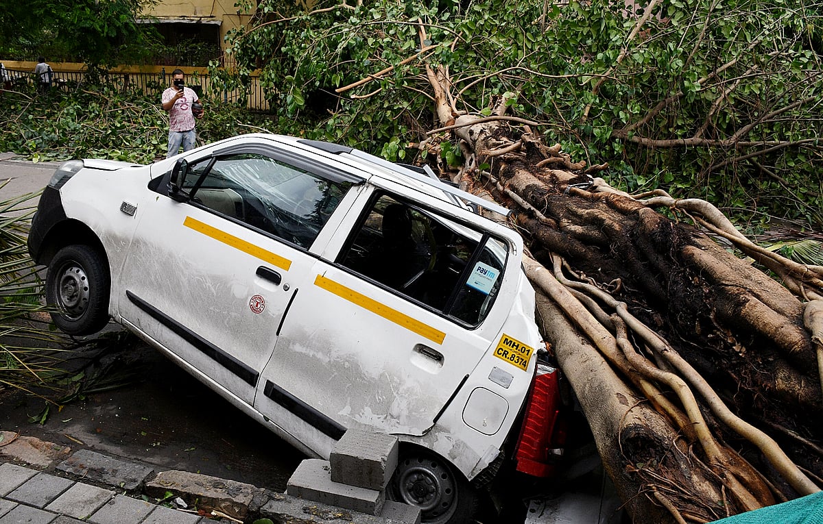 A car damaged by an uprooted tree aftermath of Cyclone Tauktae, in Mumbai on Tuesday.