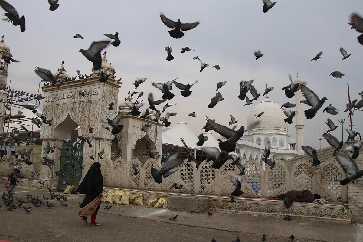 A kashmiri woman feeds pigeons at closed Hazratbal Shrine during Corona curfew in Srinagar, Kashmir. As the COVID-19 cases continue to rise the authorities imposed strict Corona curfew across Jammu and Kashmir in order to stop further spread of Coronavirus.
