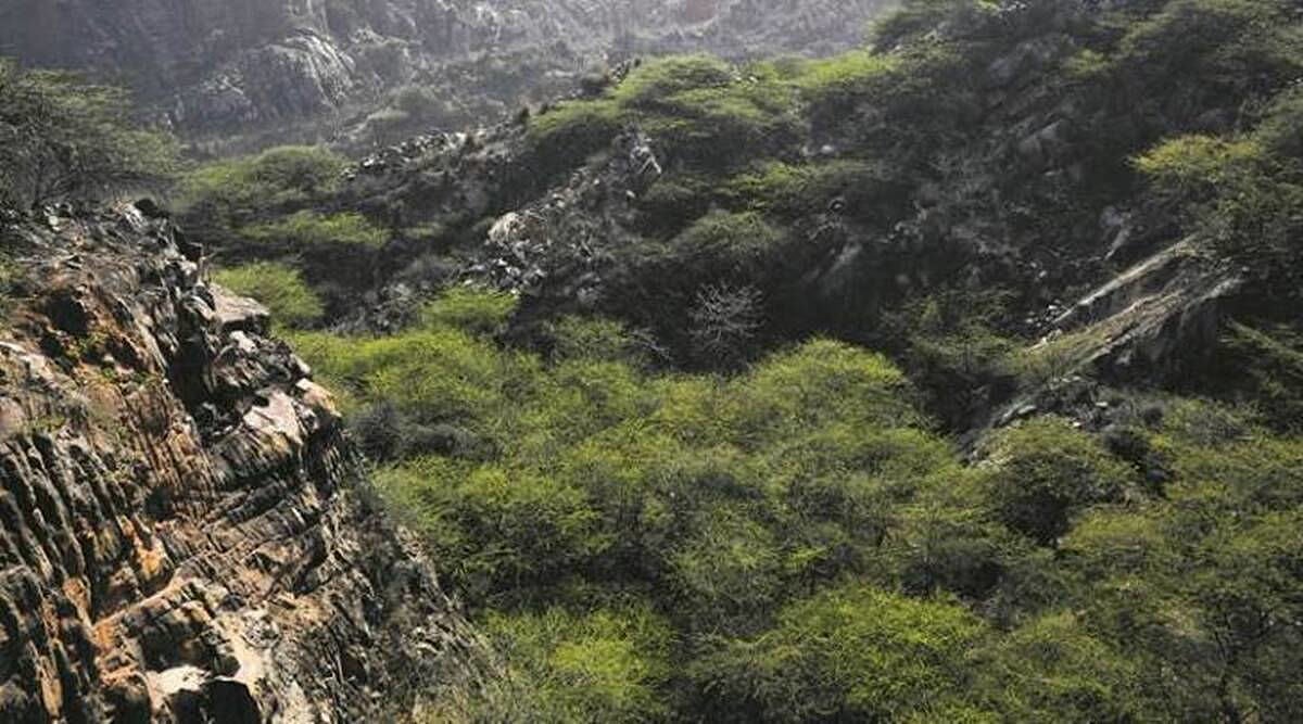 Now, the Supreme Court must stop 
the Aravallis from folding up, writes Bhavdeep Kang
