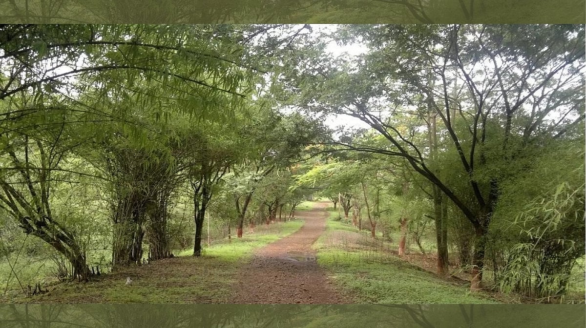 Mumbai: Forest dept gets possession of 812 acres of Aarey land