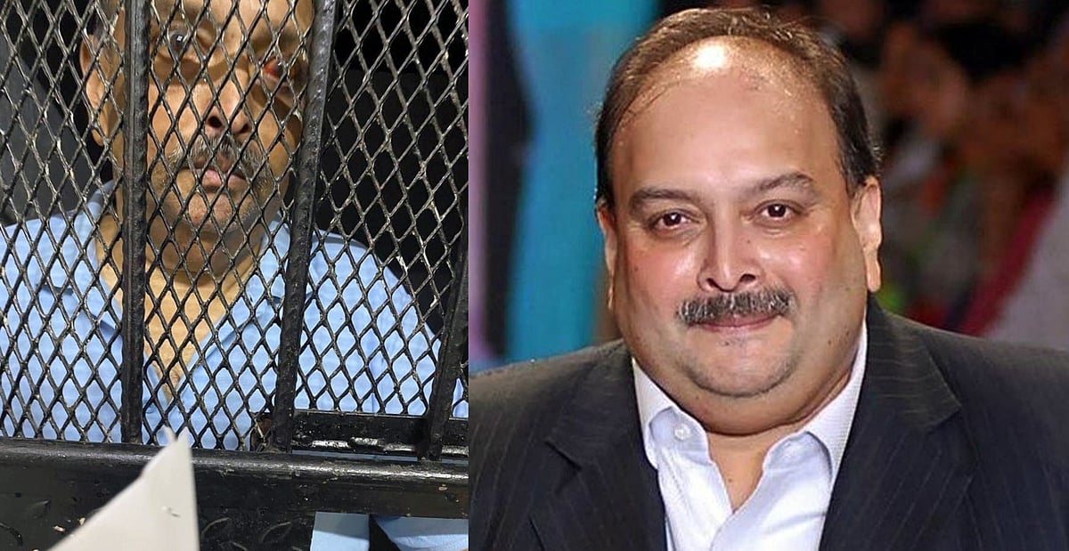 Mehul Choksi has to be deported to India: Dominican govt tells HC