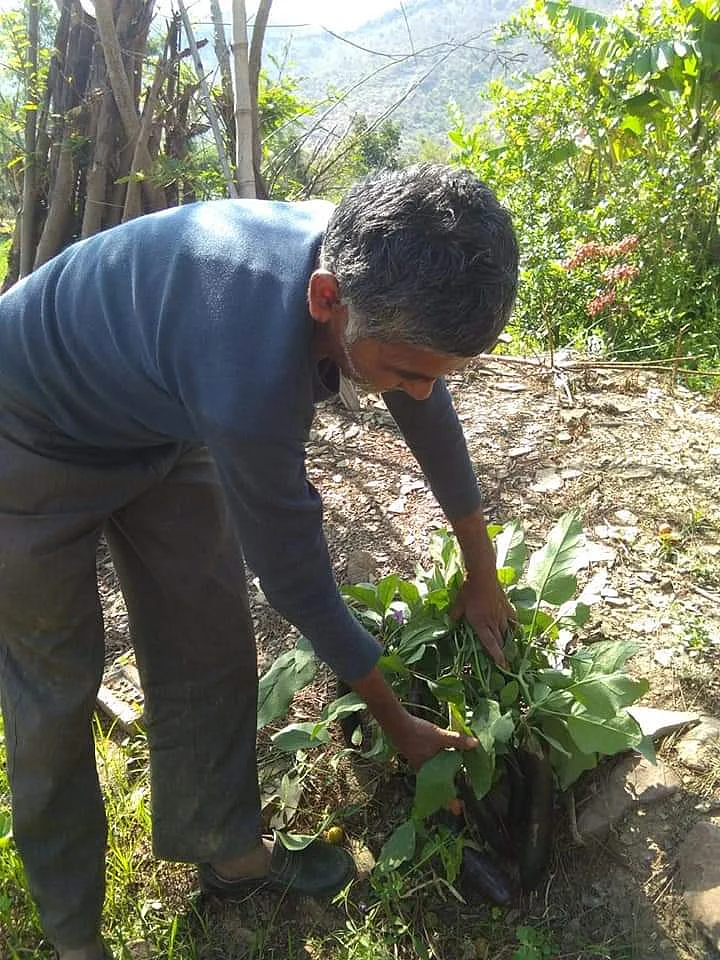 The seven Agro-climatic zones are divided into 1,330 Micro Agro-climatic zones to formulate new profitable crop plans to farmers based on factors of production./Representative image | 