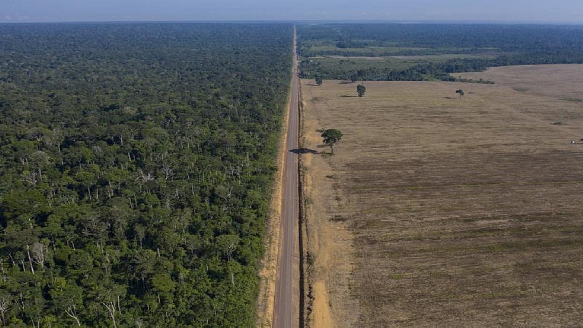 Record levels of deforestation in Brazilian Amazon continue