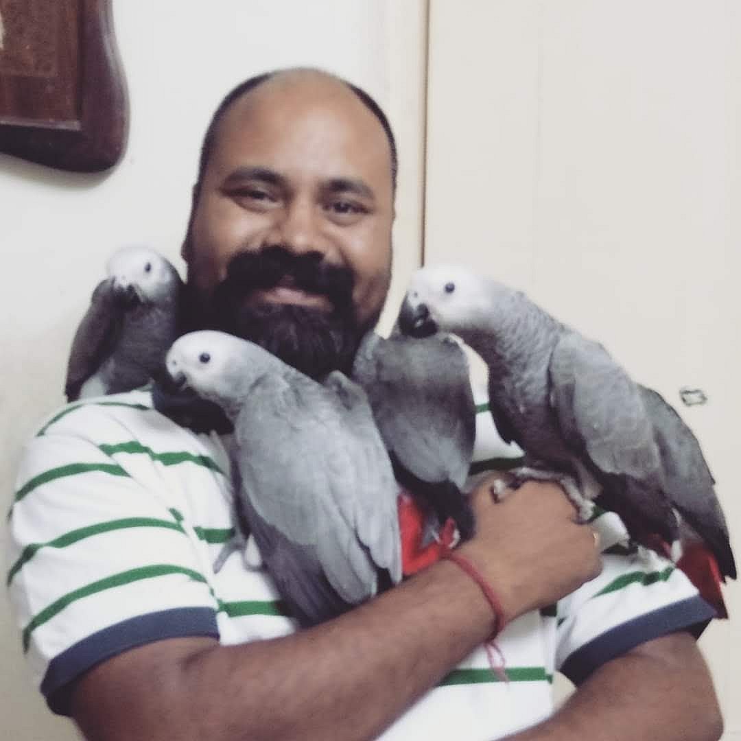 Indore: Macaws, African Grey Parrots to be part of zoo avairy