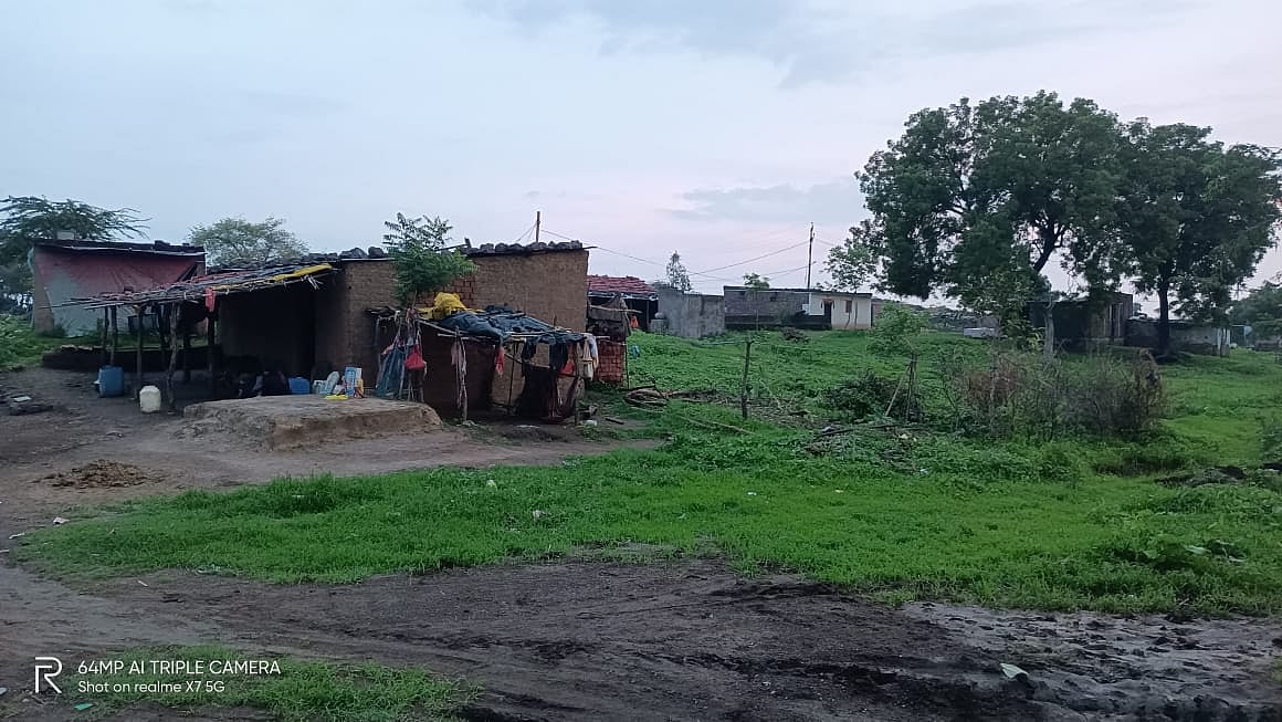 Madhya Pradesh: Encroachment taking toll on grassland in Badnawar