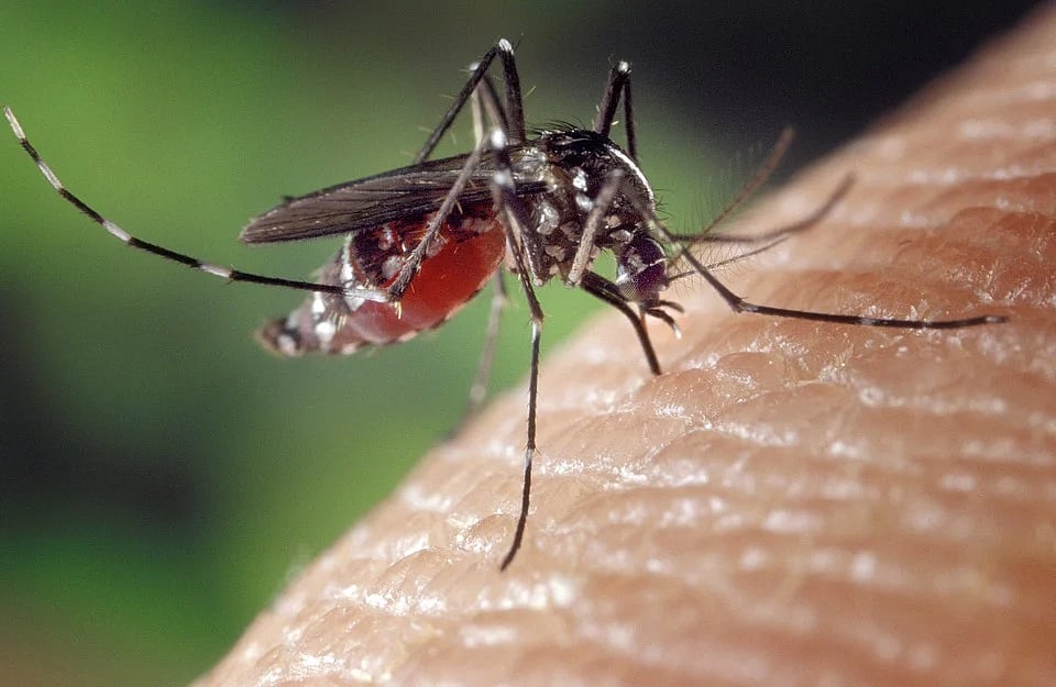 Zika virus: Kerala reports 5 new cases, tally rises to 28
