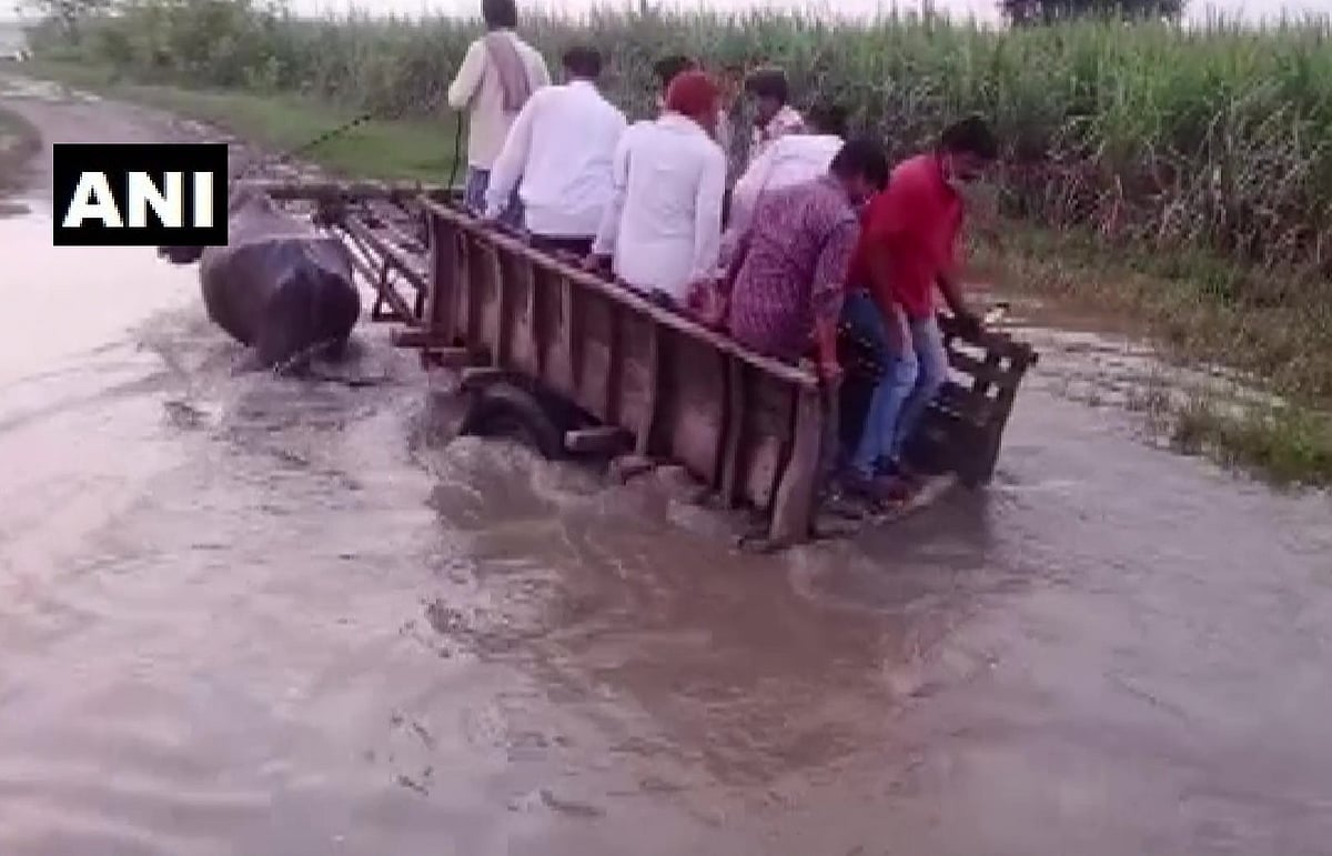 Bagaha SDM Shekhar Anand rode a buffalo cart to reach a river embankment in the flood-affected Ramnagar area in East Champaran, Bihar on July 5, 2021.