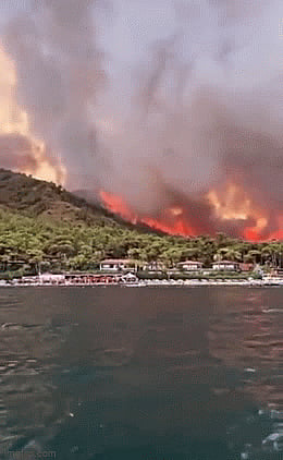 #PrayforTurkey: Wildfires leave 3 dead, 58 hospitalised; netizens share horrific pictures & videos 